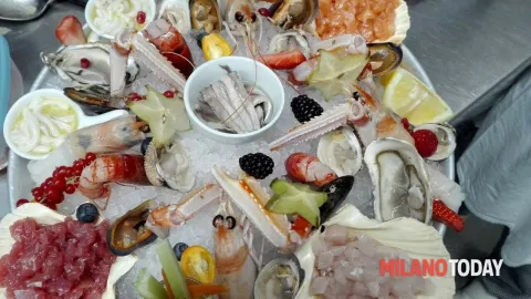 Ristorante Marecrudo — MilanoToday